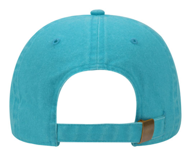 Frazier "dolphins" script Dad Hat*
