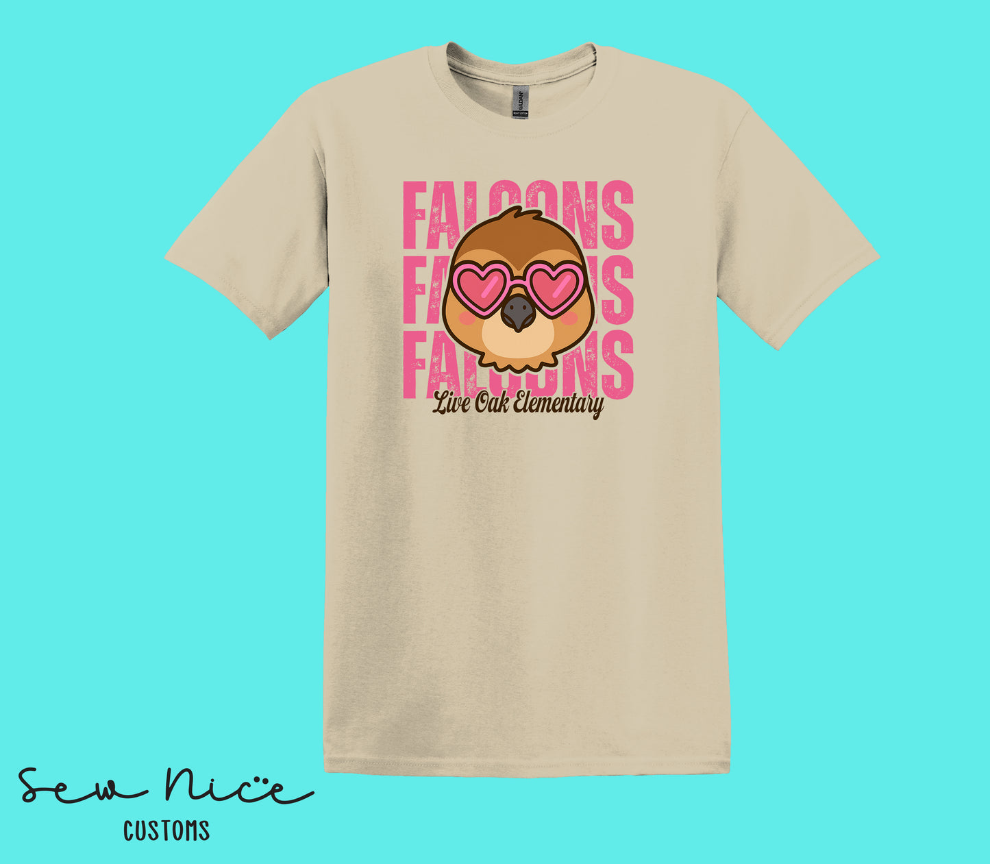 Falcons Valentine's- Unisex Adult/Youth T-Shirt