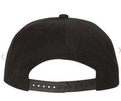 FW -3D Puff- Snapback Hat