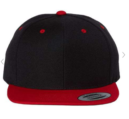 FW -3D Puff- Snapback Hat