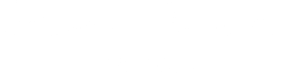 Sew Nice Customs